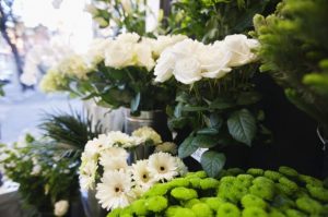 fleur blanche